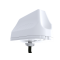 Poynting MIMO-3-17 - 5G / LTE / GPS / WLAN Antenne, 2m Kabel, Weiß, IP69K